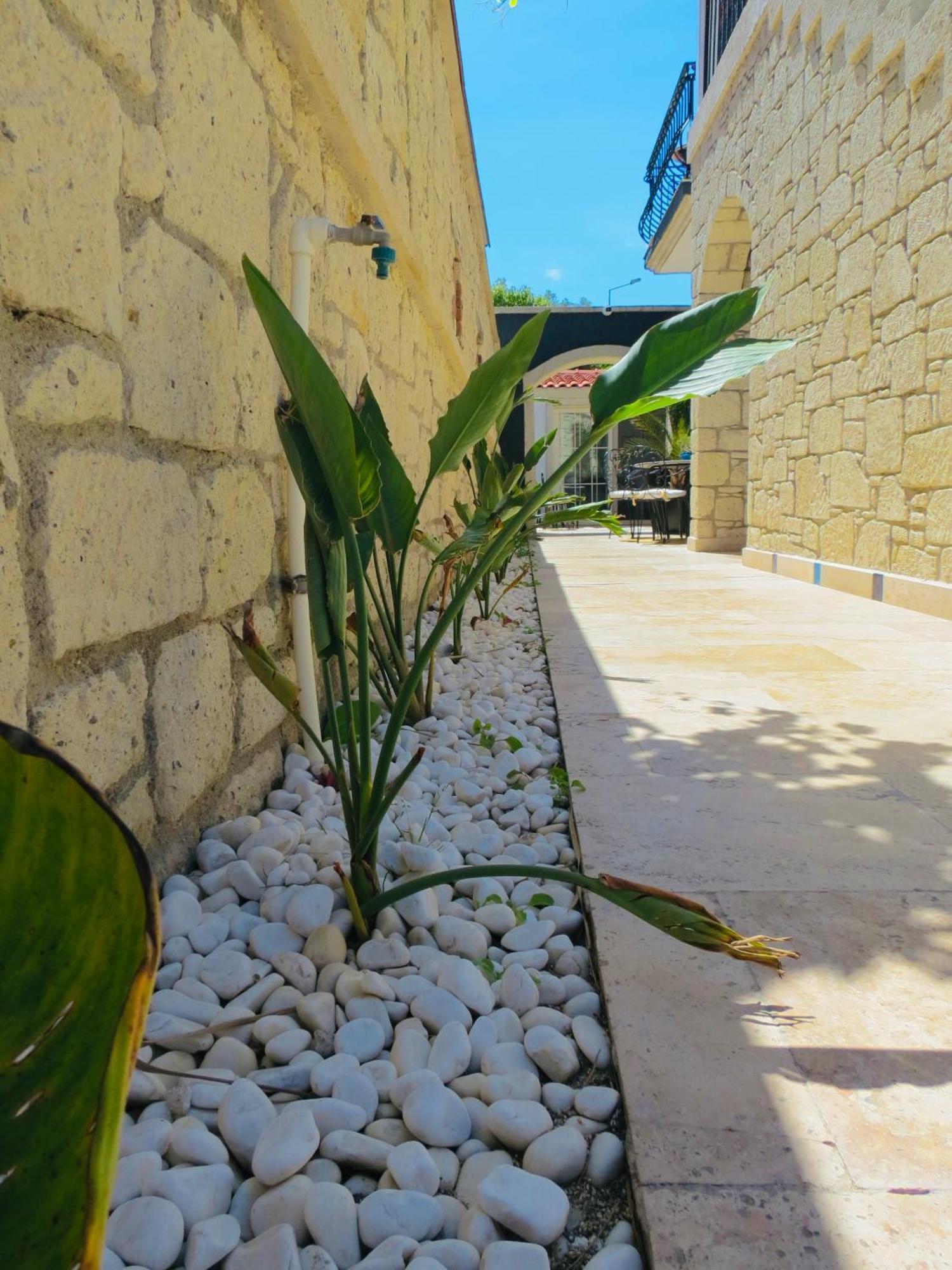 Fedora Otel Alaçatı Buitenkant foto